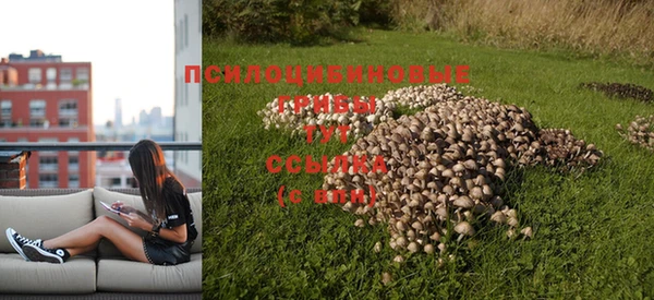2c-b Липки