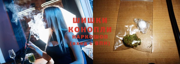 тгк Лагань
